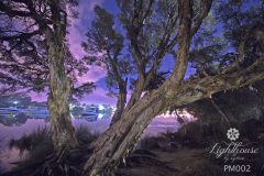 Cyrus Roussilhes nature